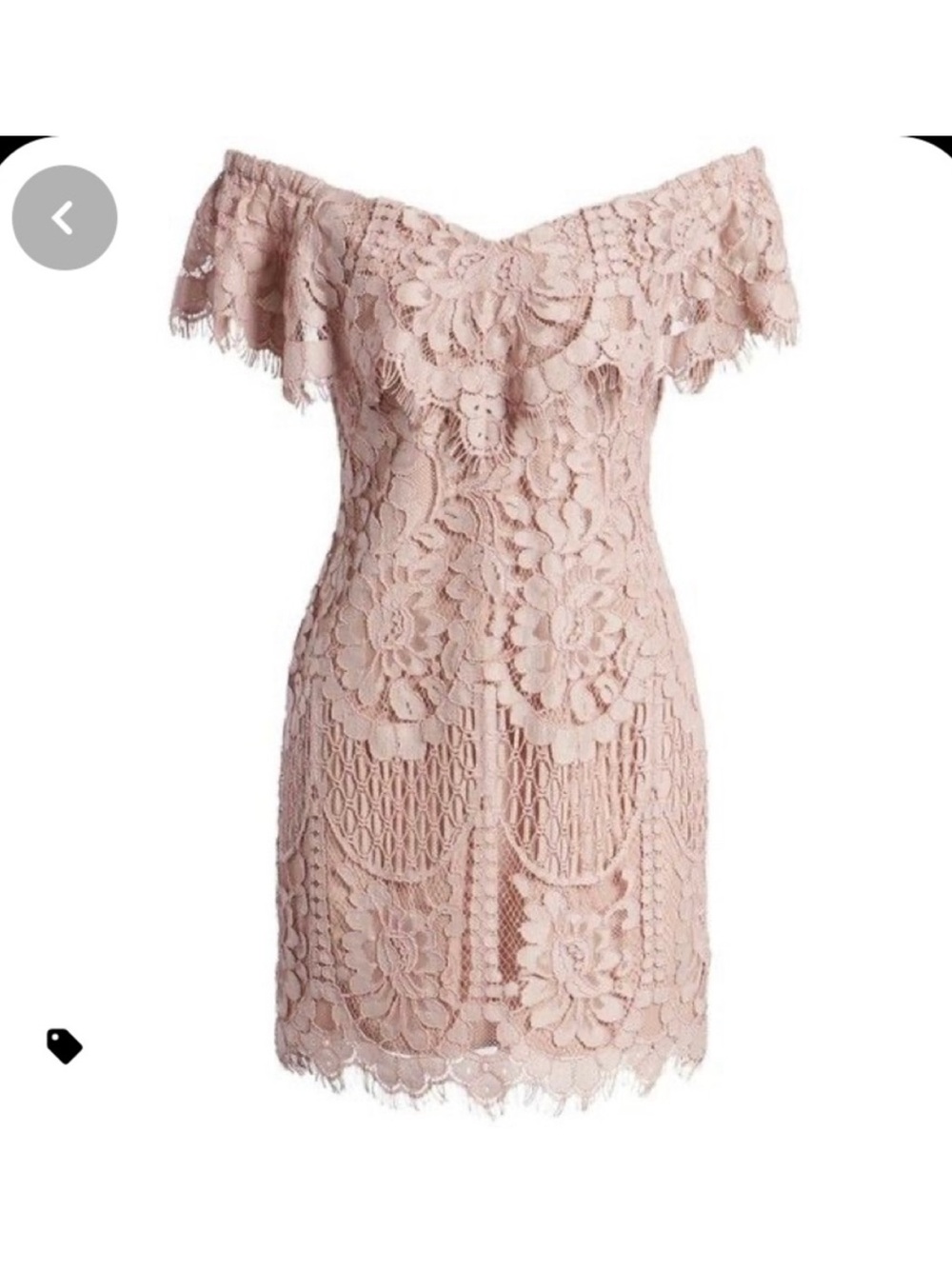 Wayf off-Shoulder Lace Mini Dress in Dusty Rose